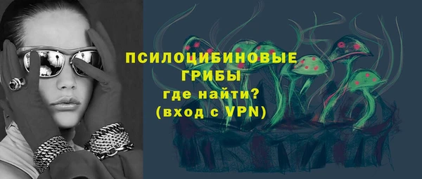 мдпв Покачи
