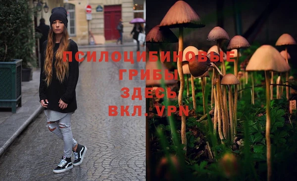 spice Покров