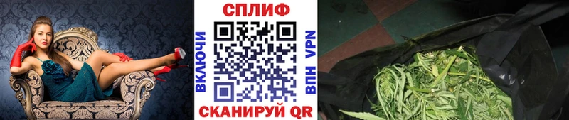 Бошки Шишки гибрид  магазин  наркотиков  OMG маркетплейс  Ветлуга 
