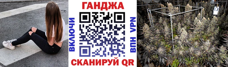 Канабис конопля Ветлуга